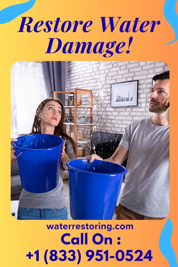 water restoration Horizon Water Damage & Associates Glen Campbell