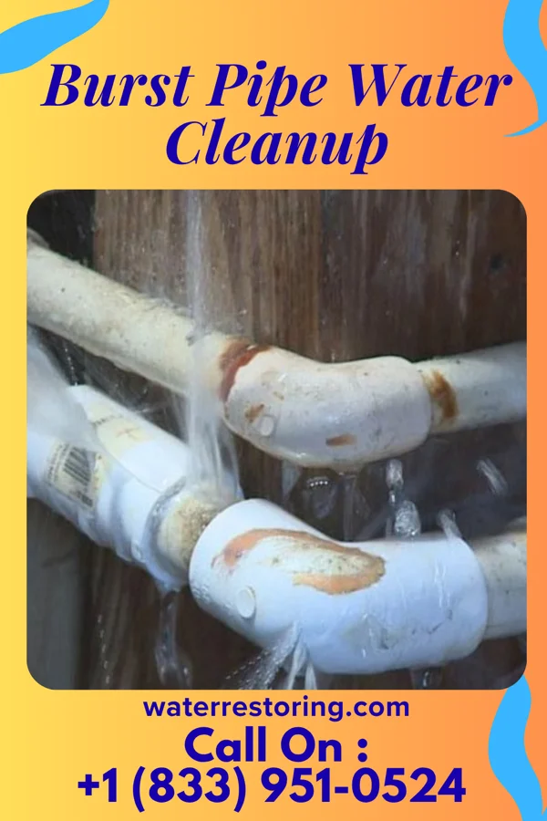 Burst Pipe Water Cleanup in Glen Campbell, PA