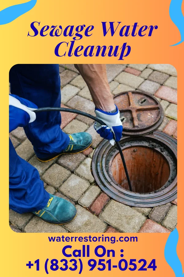 Sewage Water Cleanup in Glen Campbell, PA